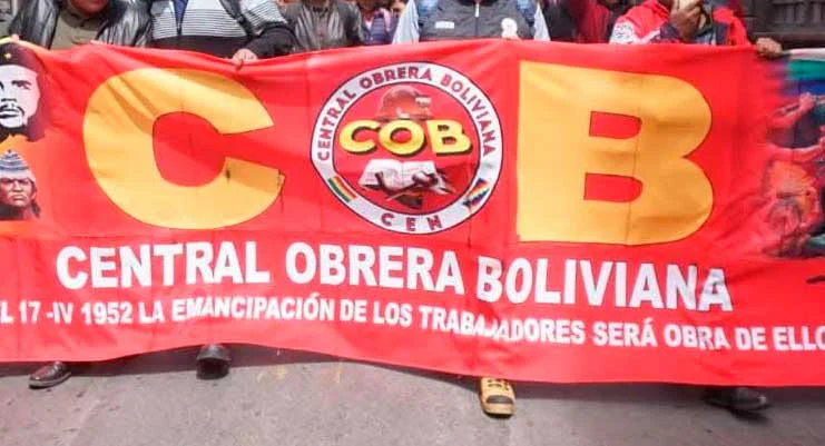 cob-315