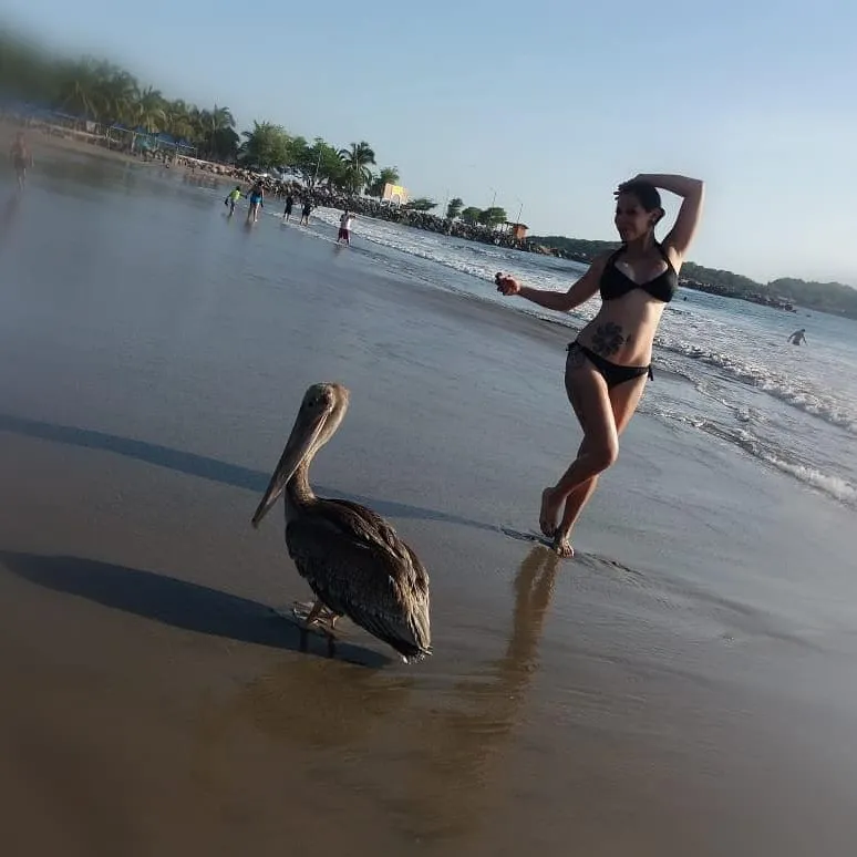 67676860_10157677429948760_90468