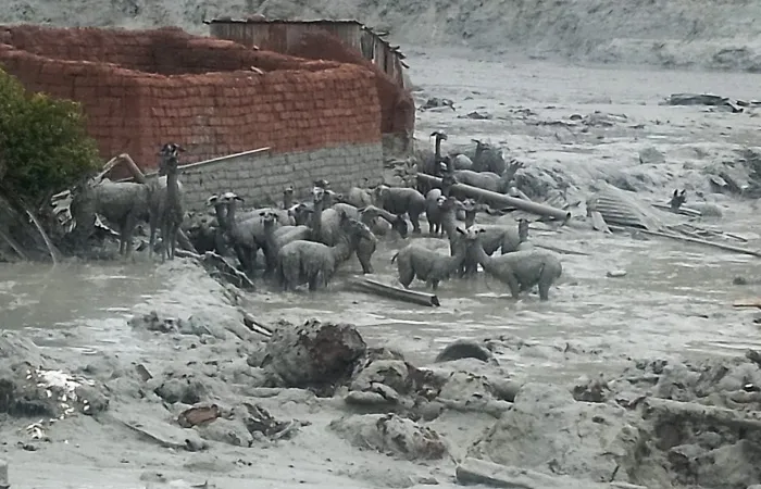 llamitas barrro