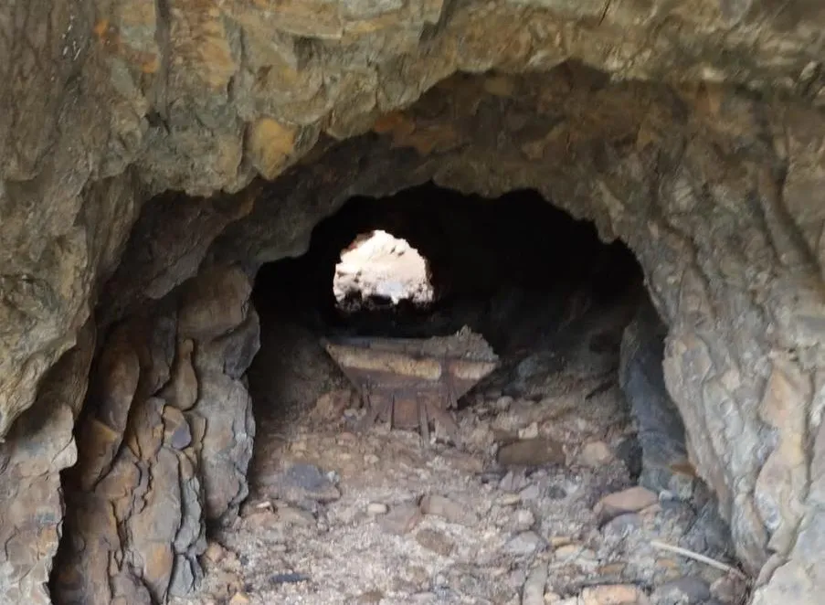 WhatsApp Image 2025-10-02 at 16.34.27