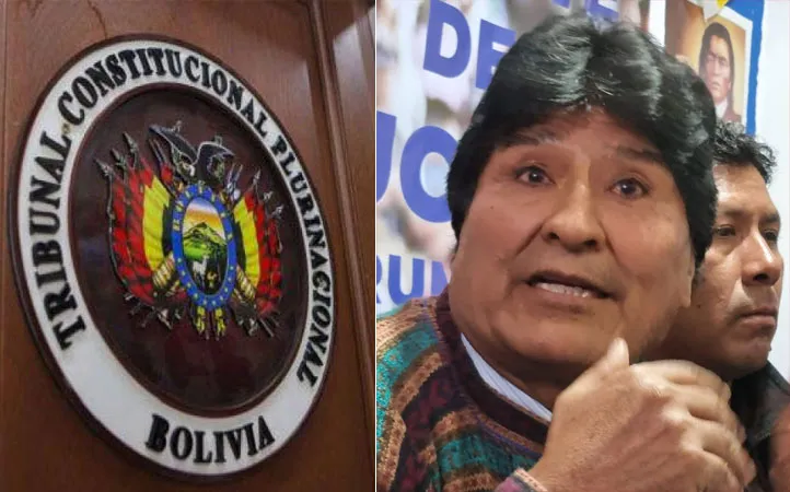 evo tribu