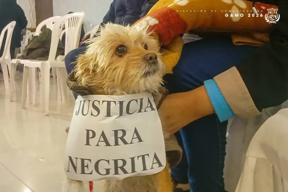 659100002_1275755868076423_3608418222314164720_n