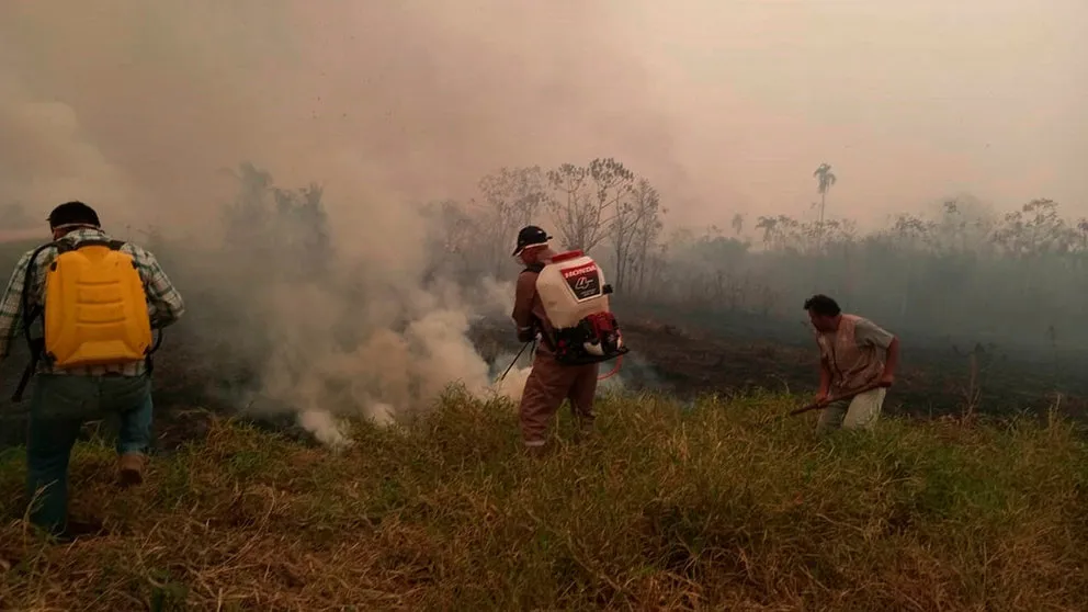 incendio pausa