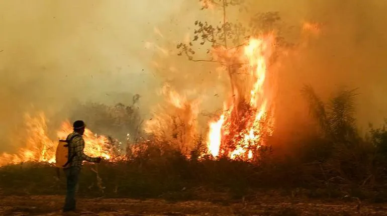 incendio 2024