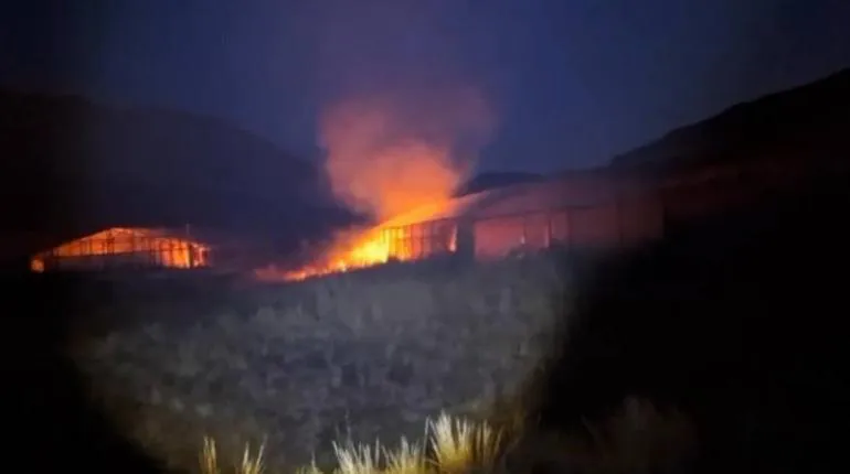 viveros de mariguana