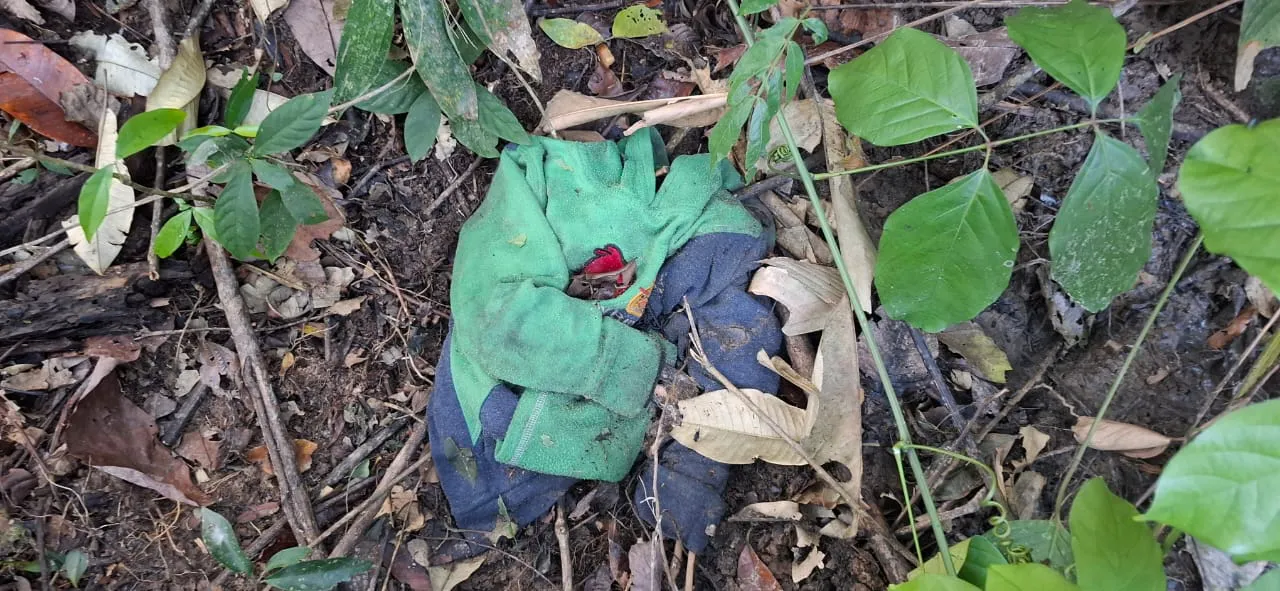 WhatsApp Image 2025-08-28 at 17.29.32