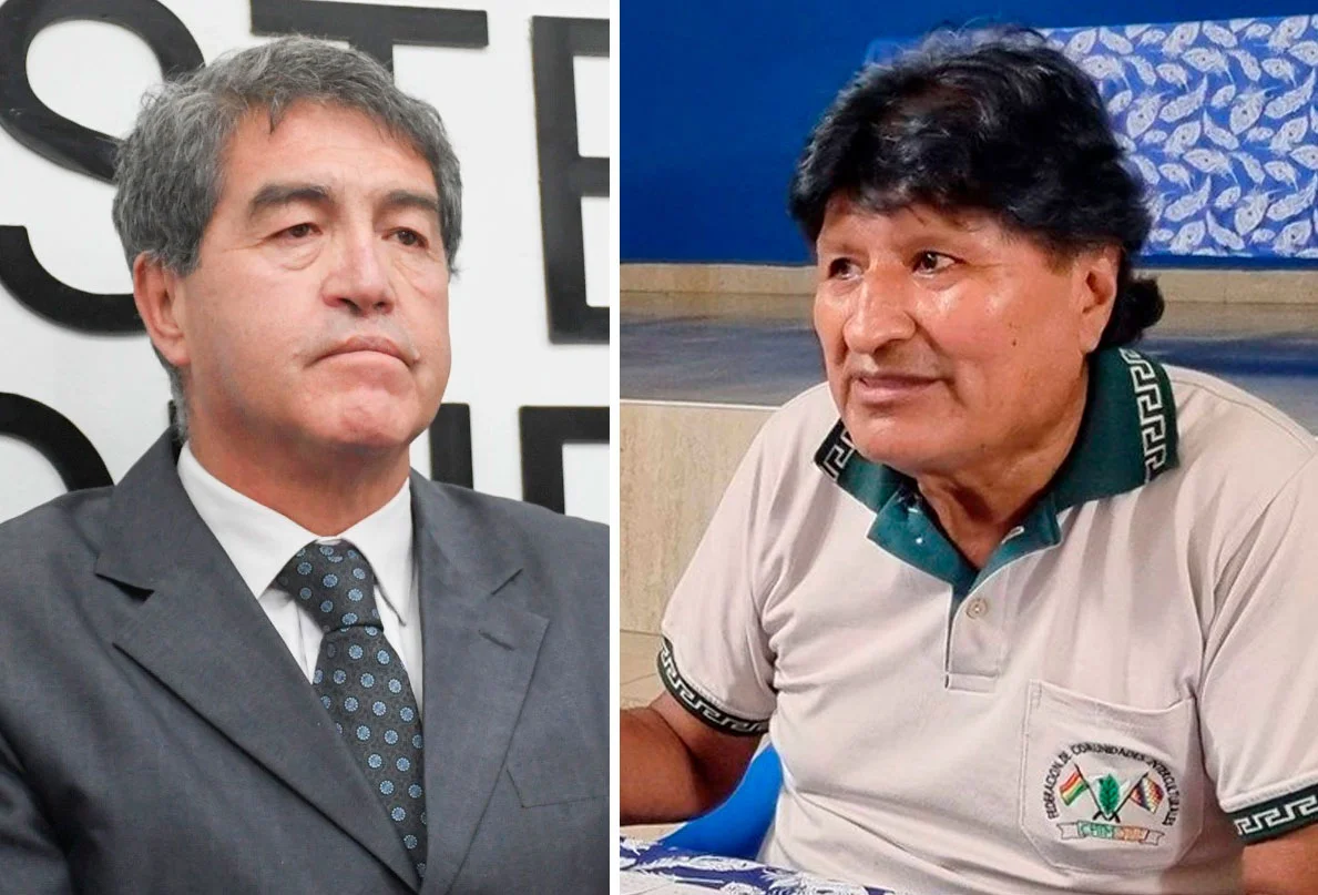 paredes-evo