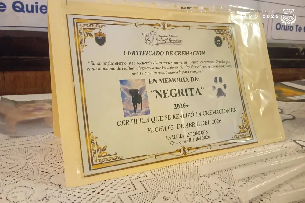 662536153_1275755398076470_7614106037824265712_n