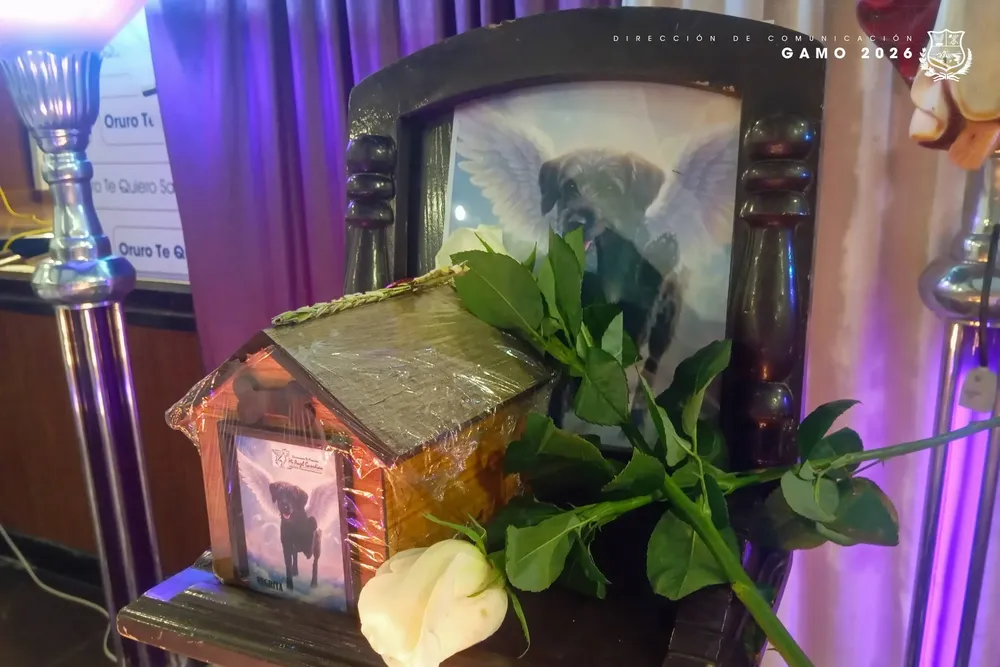 660950670_1275755568076453_6436304595775235989_n