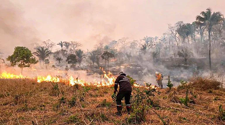incendio sc