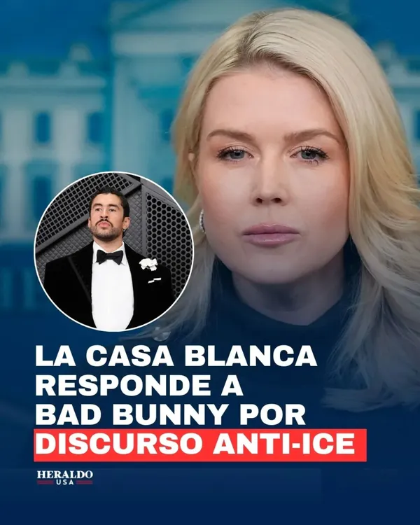 626871874_17944126575071235_2442